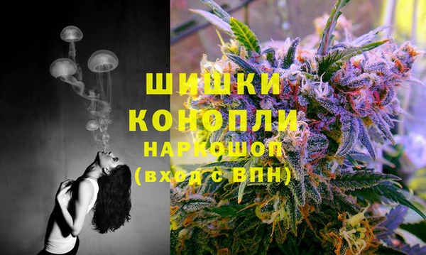 спиды Белокуриха