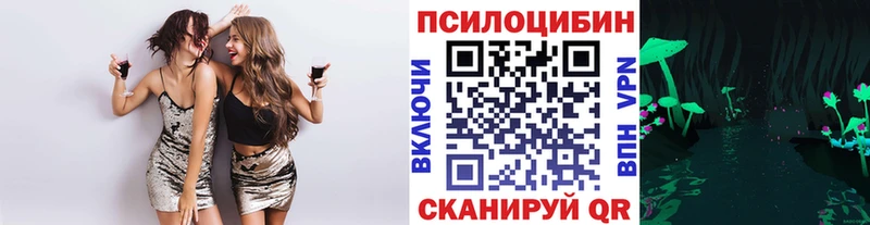 Псилоцибиновые грибы мицелий  где купить наркотик  Уссурийск 